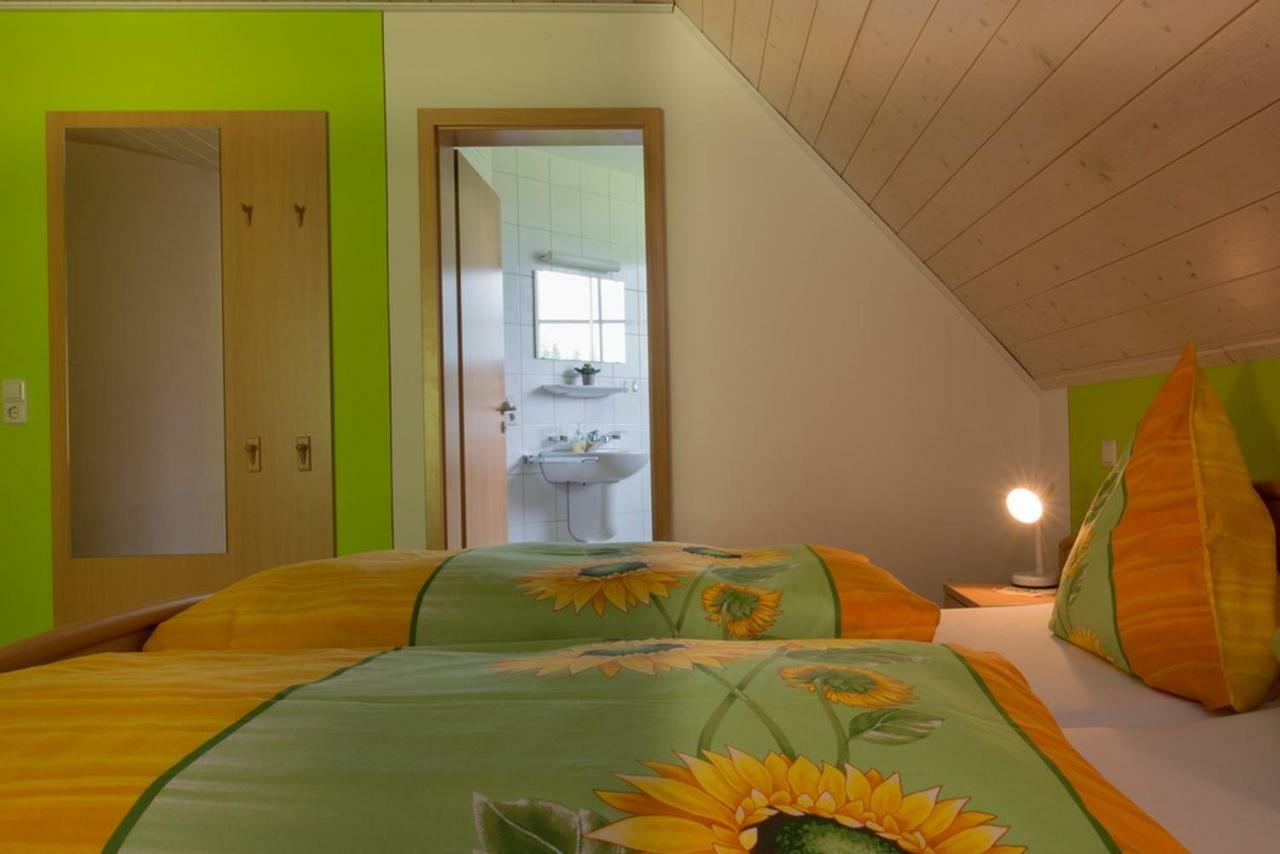 Riehle Hof Διαμέρισμα Zell am Harmersbach Εξωτερικό φωτογραφία