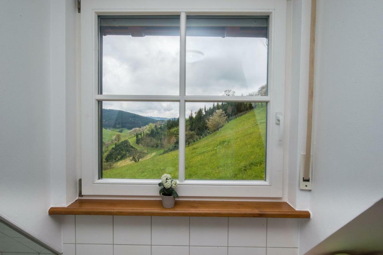 Riehle Hof Διαμέρισμα Zell am Harmersbach Εξωτερικό φωτογραφία