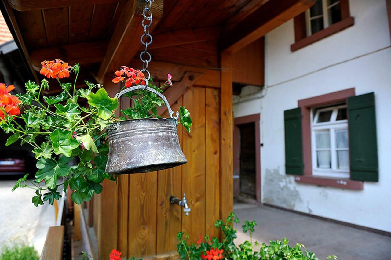 Riehle Hof Διαμέρισμα Zell am Harmersbach Εξωτερικό φωτογραφία