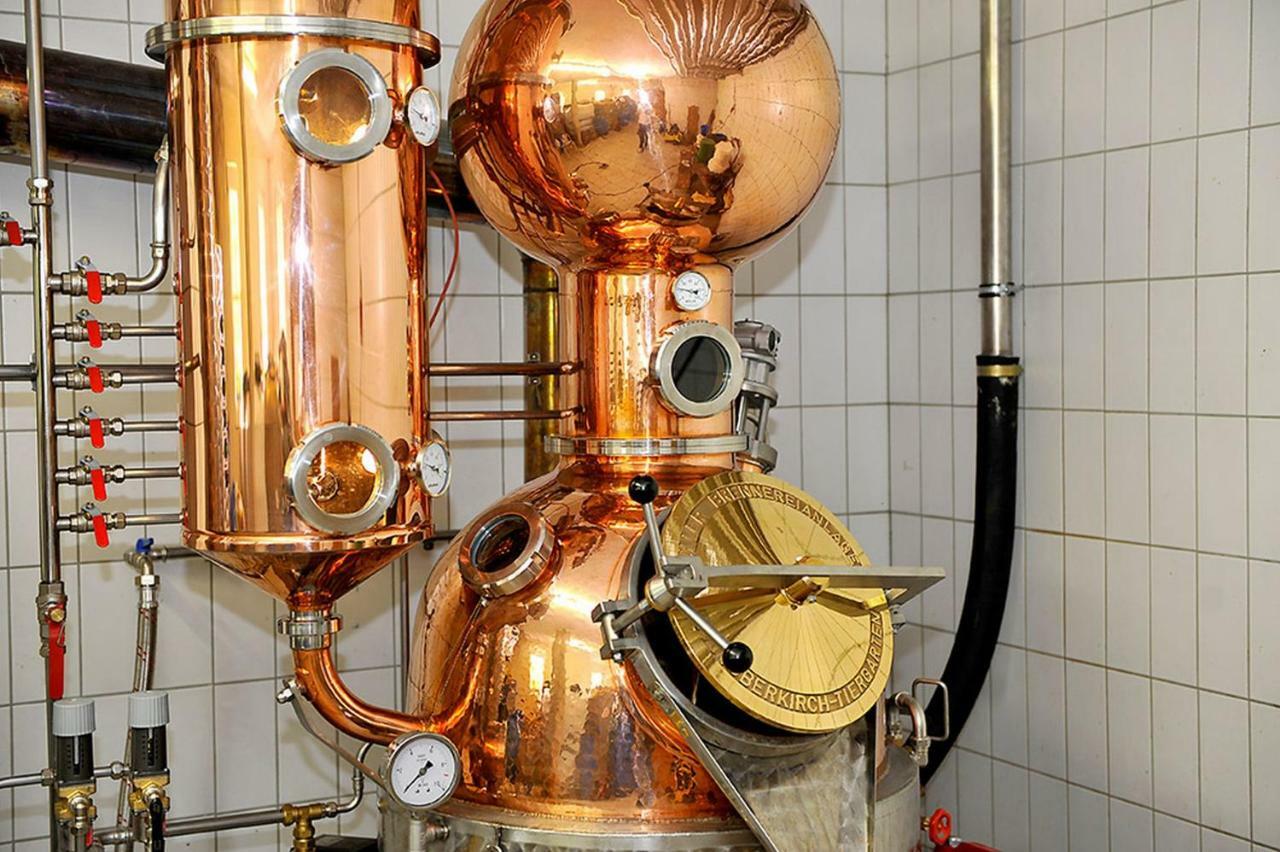 Riehle Hof Διαμέρισμα Zell am Harmersbach Εξωτερικό φωτογραφία