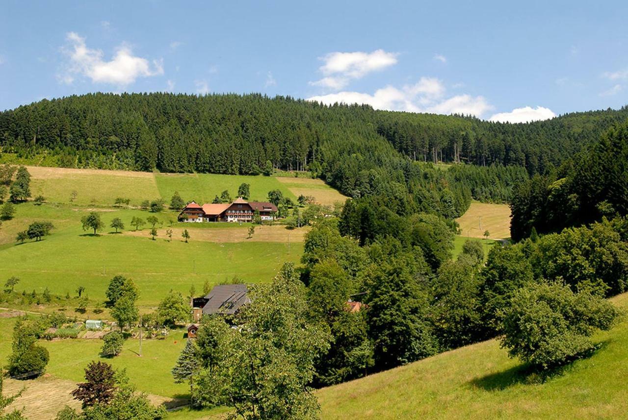 Riehle Hof Διαμέρισμα Zell am Harmersbach Εξωτερικό φωτογραφία