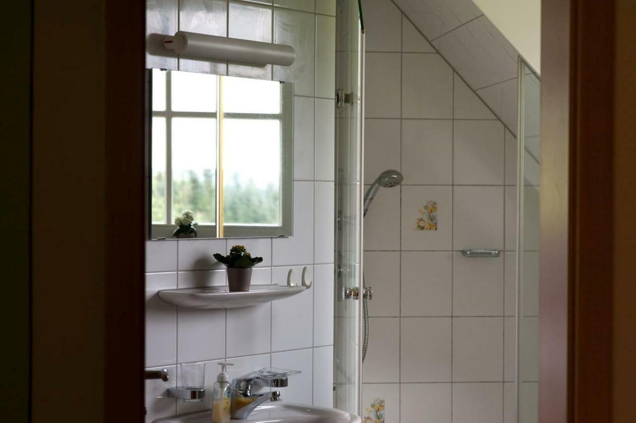 Riehle Hof Διαμέρισμα Zell am Harmersbach Εξωτερικό φωτογραφία