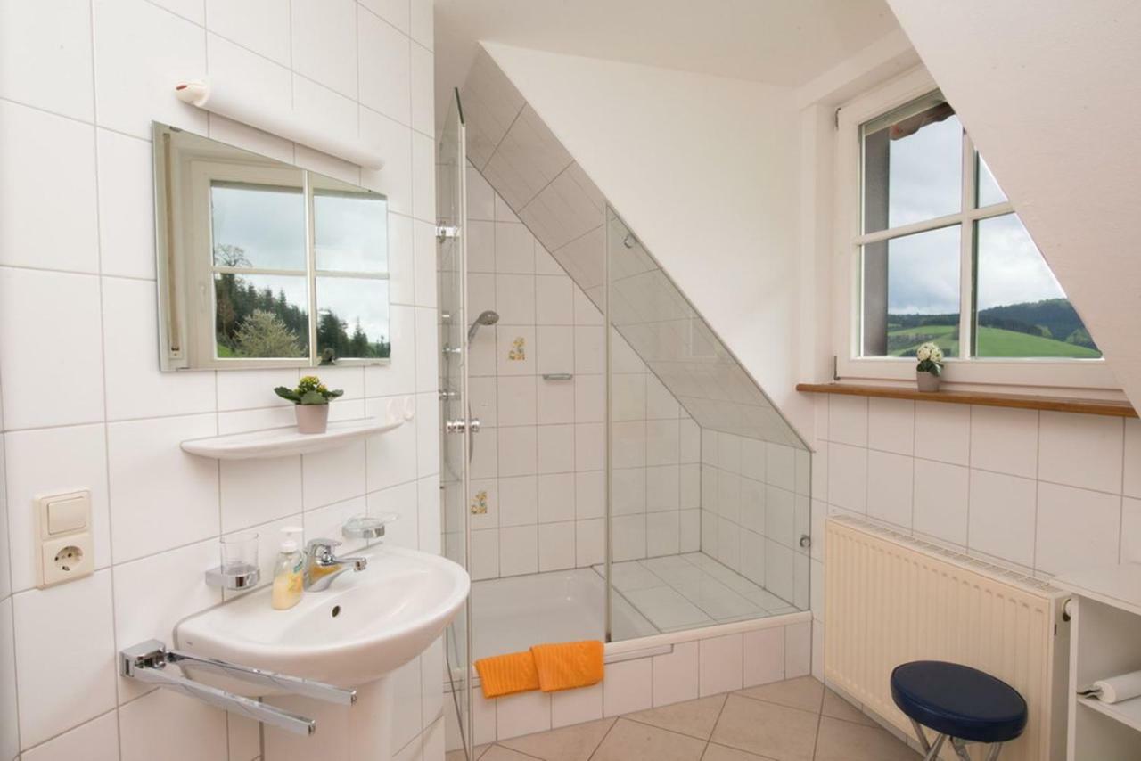 Riehle Hof Διαμέρισμα Zell am Harmersbach Εξωτερικό φωτογραφία