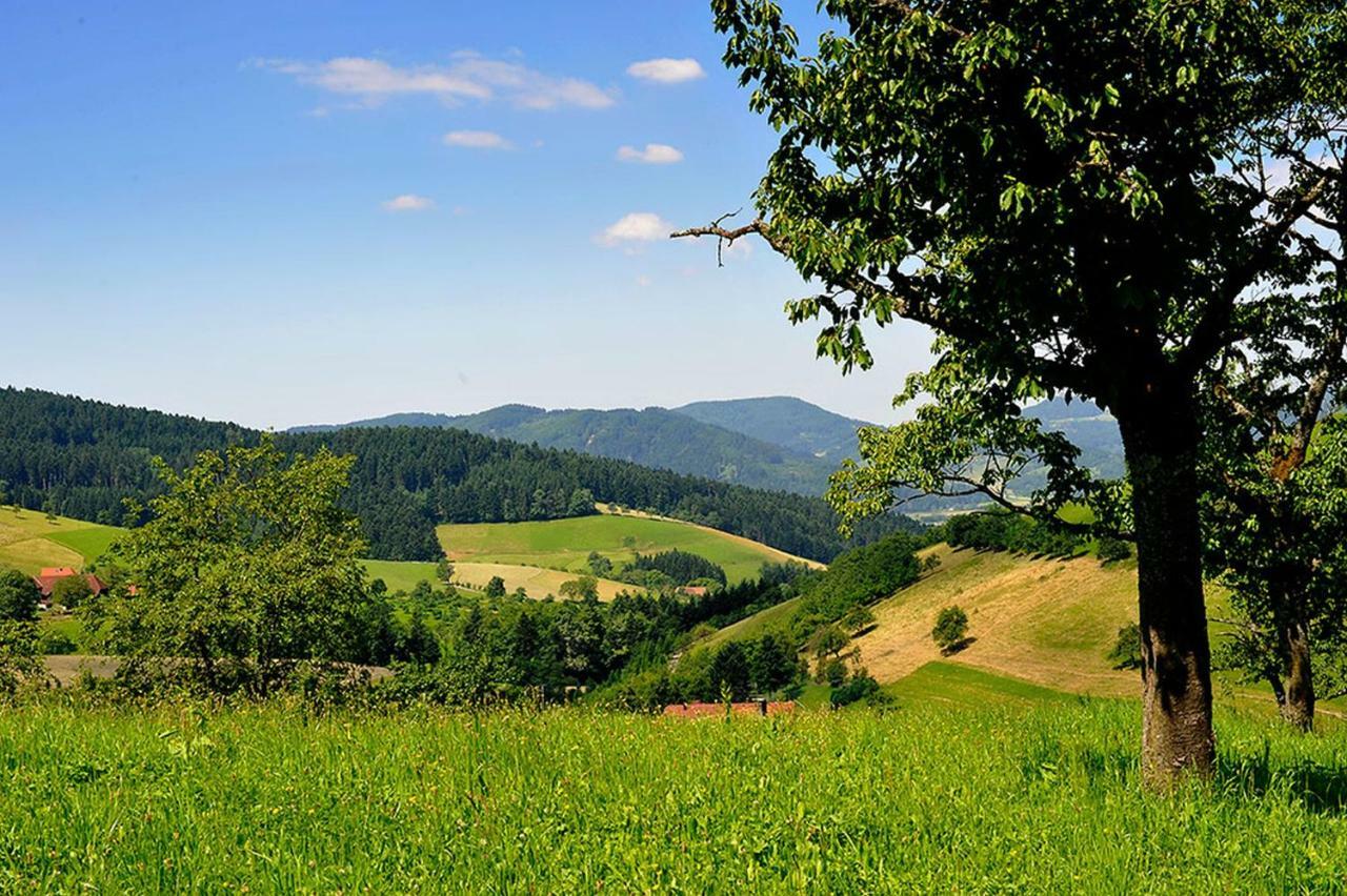 Riehle Hof Διαμέρισμα Zell am Harmersbach Εξωτερικό φωτογραφία