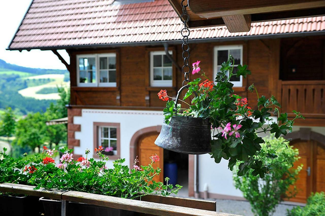 Riehle Hof Διαμέρισμα Zell am Harmersbach Εξωτερικό φωτογραφία